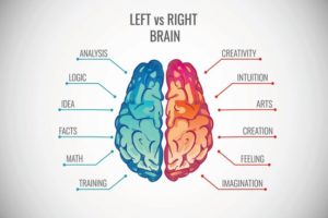 Brain Bridging (or Bilateral Integration) - Illustration