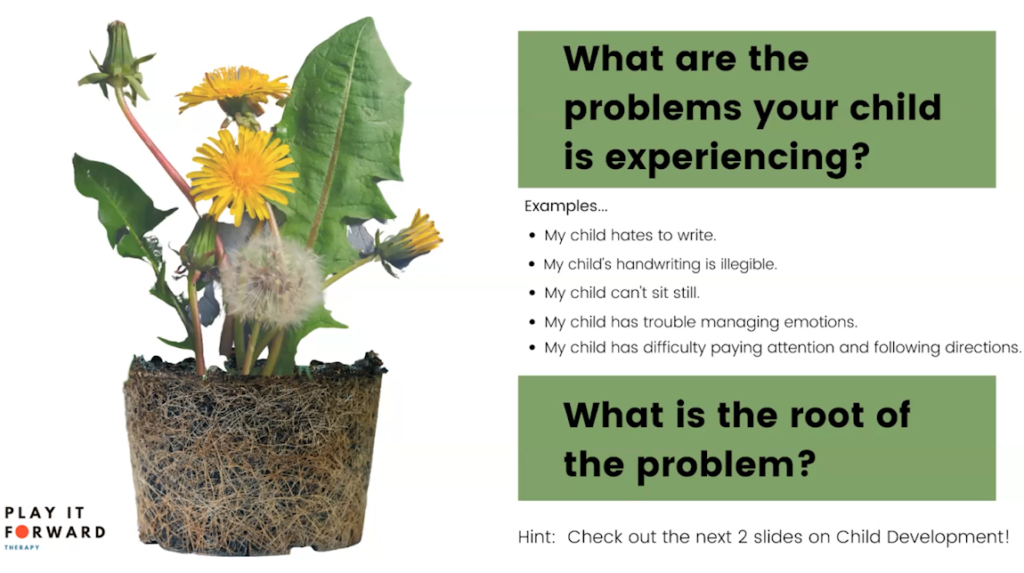 What are the Problems your child is experiencing? with examples