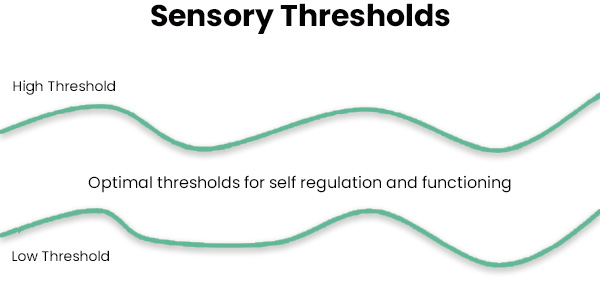 Sensory-Threshold Graph - Adult with SPD
